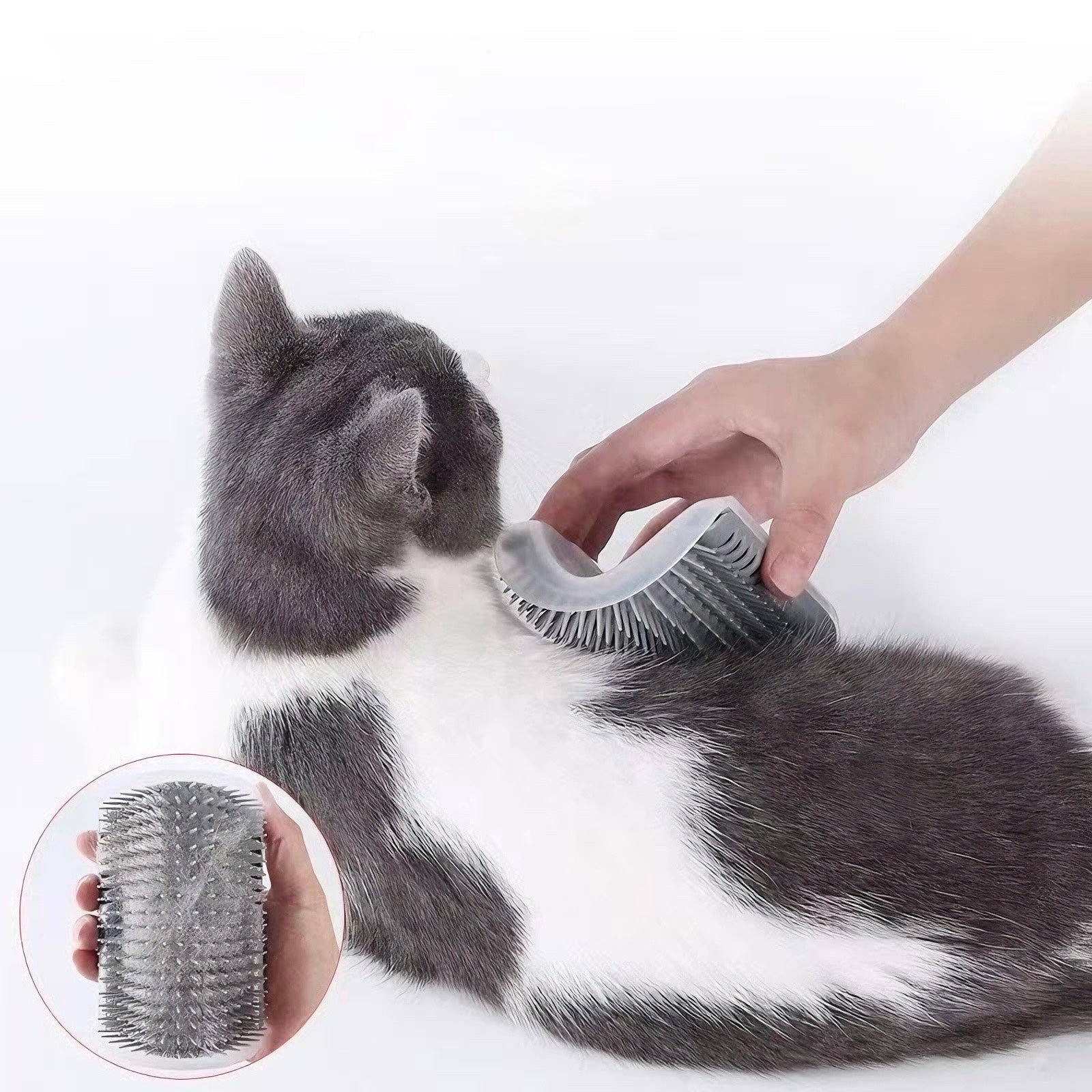 2PCS Corner Self-Grooming Cat Brush – Gentle Fur Massage & Shedding Control