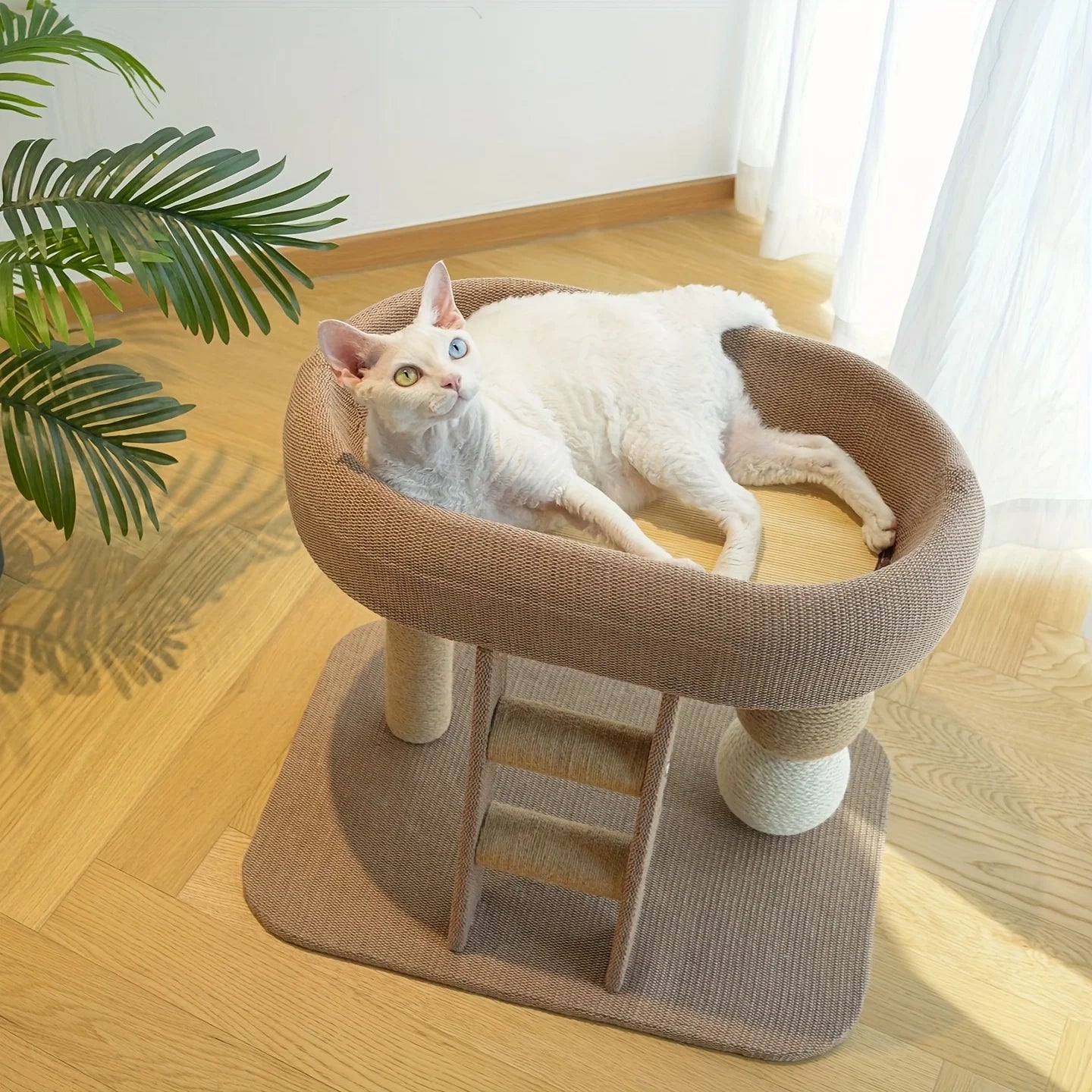 Cozy Perch & Scratching Posts