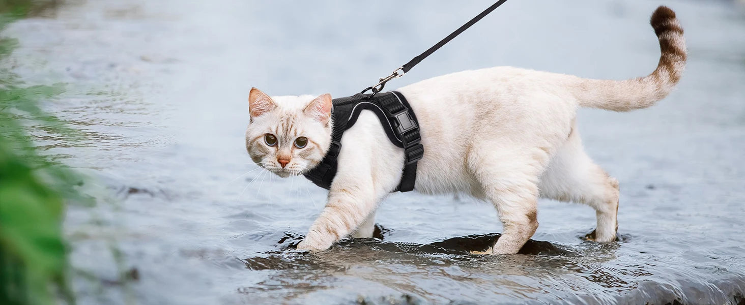 Soft Adjustable Cat Vest Harness – Comfortable, Breathable, and Safe