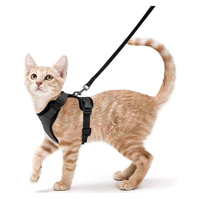 Soft Adjustable Cat Vest Harness – Comfortable, Breathable, and Safe
